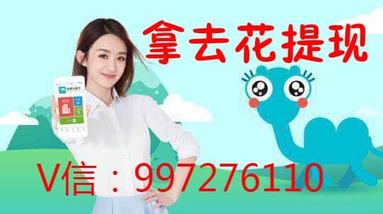 拿去花,去哪儿,携程 拿去花,去哪儿,携程