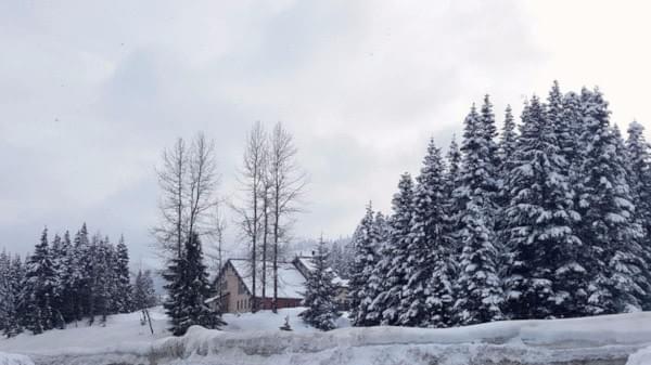 Snoqualmie West Summit, Snoqualmie Pass, Cascade Range, Winter 2017 Snoqualmie West Summit, Snoqualmie Pass, Cascade Range, Winter 2017