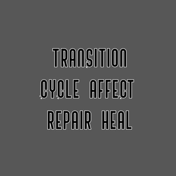 Transition Cycle Graphic (c) Dena Michele Rosko Transition Cycle Graphic (c) Dena Michele Rosko