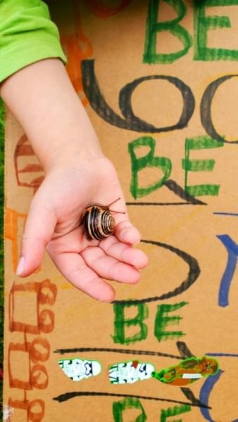 Change can seem slow, but this snail was fast Change can seem slow, but this snail was fast