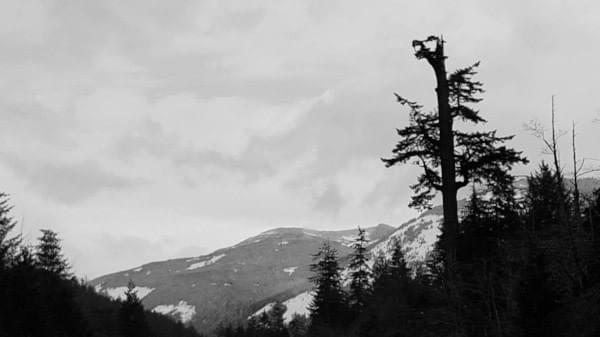 Snoqualmie Pass, Cascade Range, Winter 2017 Snoqualmie Pass, Cascade Range, Winter 2017