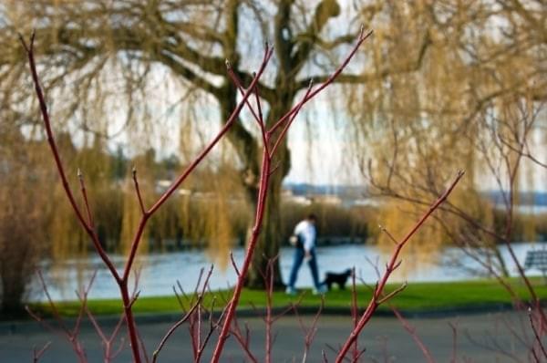 Cedar River Trail + Watershed, Renton, Wash. Cedar River Trail + Watershed, Renton, Wash.