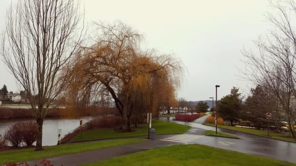Rainfall at Cedar River Trail + Watershed, Renton, Wash. Rainfall at Cedar River Trail + Watershed, Renton, Wash.