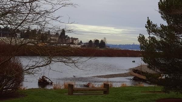 Cedar River Trail + Watershed, Renton, Wash. Cedar River Trail + Watershed, Renton, Wash.