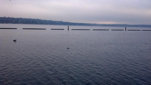 Gene Coulon Memorial Beach Park at Lake Washington, Renton, Wash. Gene Coulon Memorial Beach Park at Lake Washington, Renton, Wash.