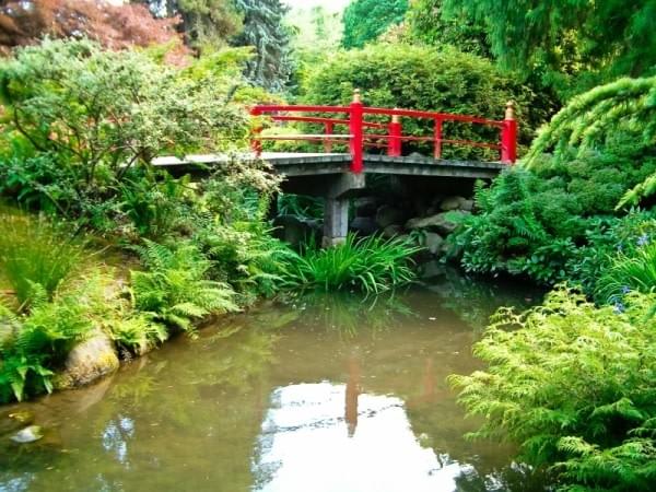 Pond at Kubota Garden, Seattle, Wash. Pond at Kubota Garden, Seattle, Wash.