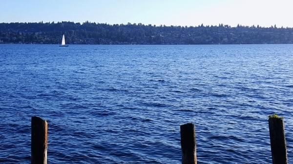 Gene Coulon Memorial Beach Park, Renton, Wash. Gene Coulon Memorial Beach Park, Renton, Wash.