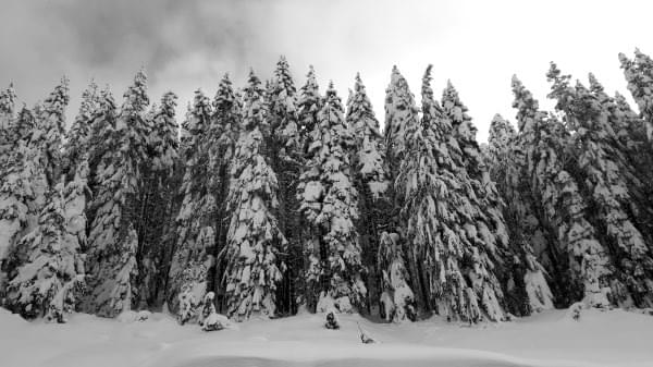 Snoqualmie Pass, Cascade Range, Wash., Winter 2016 Snoqualmie Pass, Cascade Range, Wash., Winter 2016