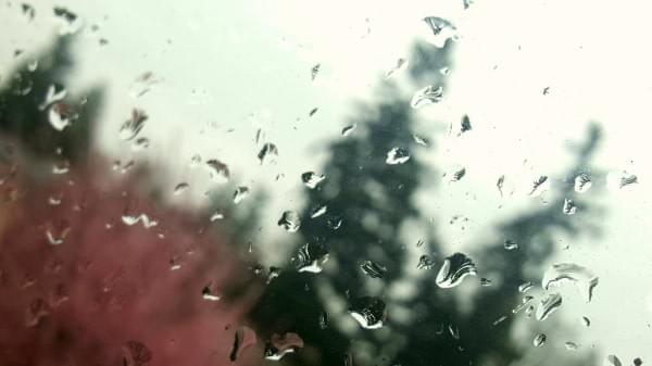 Raindrops on window at Spring, Renton, Wash. Raindrops on window at Spring, Renton, Wash.