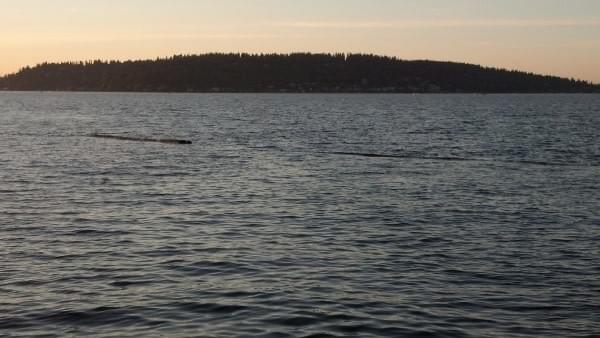 Cedar River Watershed at Lake Washington, Renton, Wash. Cedar River Watershed at Lake Washington, Renton, Wash.