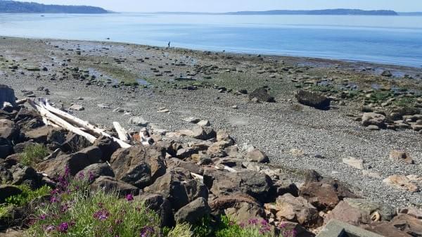 Alki Beach, Seattle, Wash., May 7, 2016 Alki Beach, Seattle, Wash., May 7, 2016