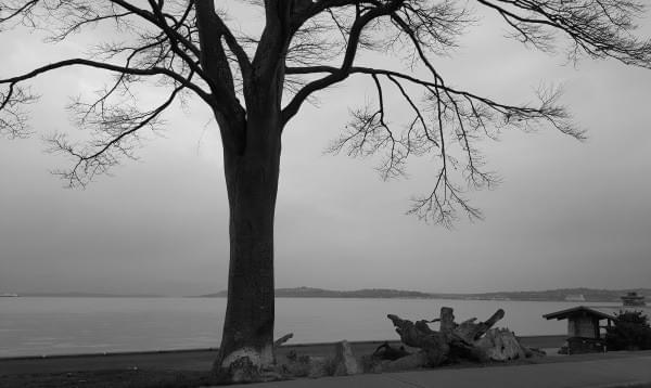 Alki Beach, Seattle, Wash., December 2016 Alki Beach, Seattle, Wash., December 2016