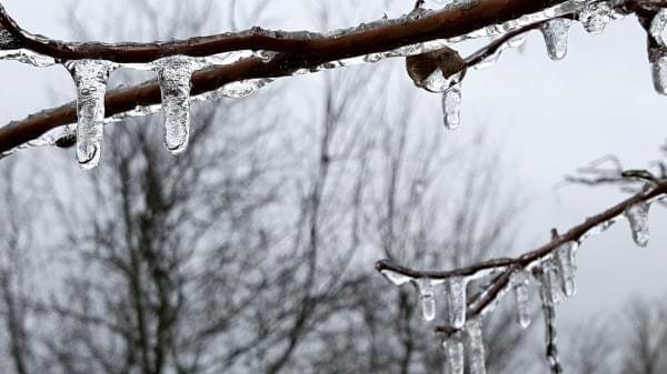 Ice rain, the Highlands, Renton, Wash. Ice rain, the Highlands, Renton, Wash.