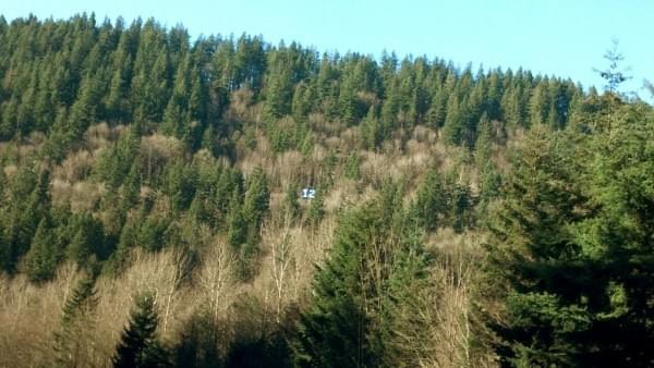 12 sign, Cascade Range, Wash. 12 sign, Cascade Range, Wash.
