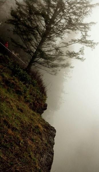 Fog, tree, cliff at Snoqualmie Falls, North Bend, Wash. Fog, tree, cliff at Snoqualmie Falls, North Bend, Wash.