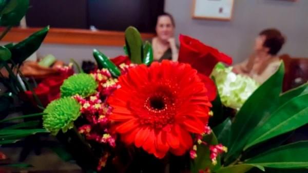 Flowers galore 2019 Flowers galore 2019