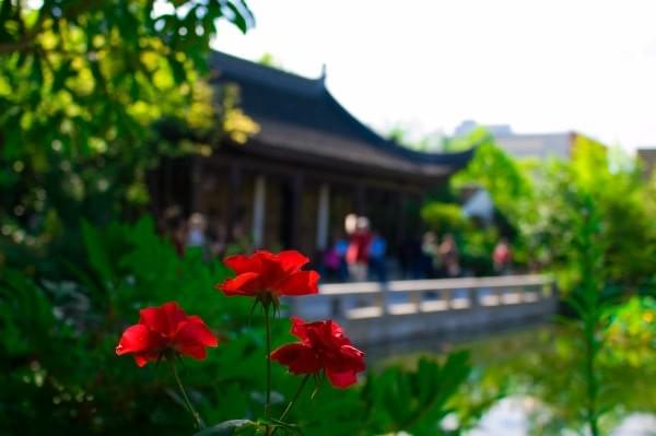 Lan Su Chinese Garden, Portland, Oregon Lan Su Chinese Garden, Portland, Oregon