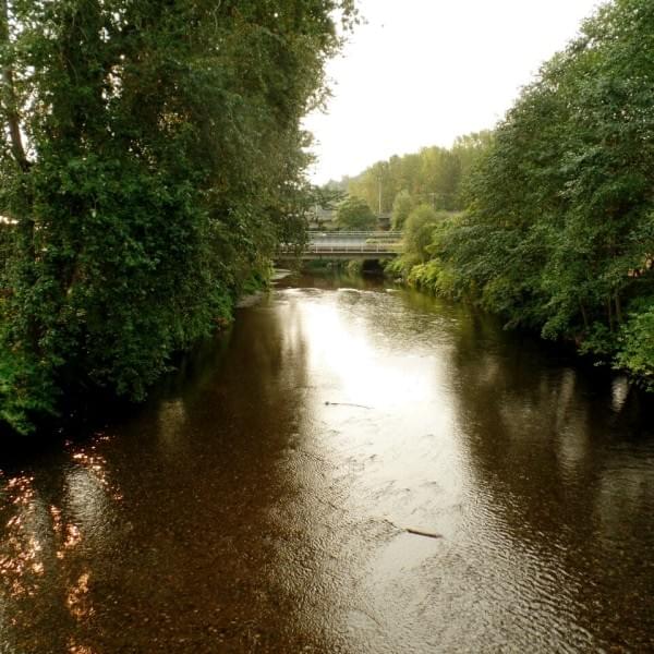 The Cedar River, Renton, Wash. The Cedar River, Renton, Wash.