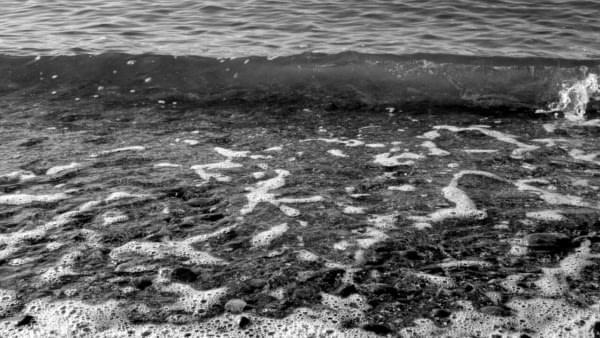 Titlow Beach in January 2015, Tacoma, Wash. Titlow Beach in January 2015, Tacoma, Wash.