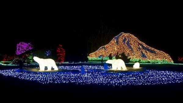 "Mt. Rainier" via Zoolights at Pt. Defiance, Tacoma, Wash. "Mt. Rainier" via Zoolights at Pt. Defiance, Tacoma, Wash.