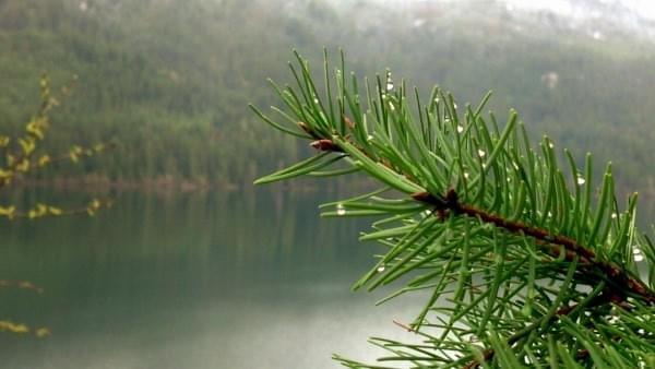 Kachess Lake, Cascade Range, Wash. Kachess Lake, Cascade Range, Wash.