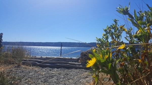 Lisabuella Beach, Vashon Island, Wash. Lisabuella Beach, Vashon Island, Wash.