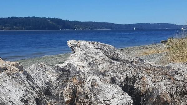 Lisabuella Beach, Vashon Island, Wash. Lisabuella Beach, Vashon Island, Wash.