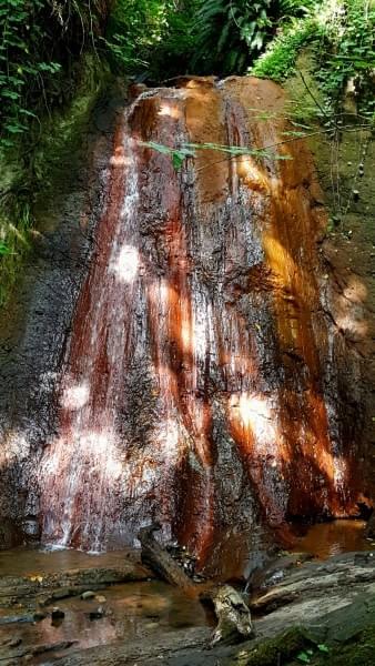 Coal Creek Falls, Red Town Trail, Cougar Mountain Regional Wildland Park, King County, Wash. Coal Creek Falls, Red Town Trail, Cougar Mountain Regional Wildland Park, King County, Wash.