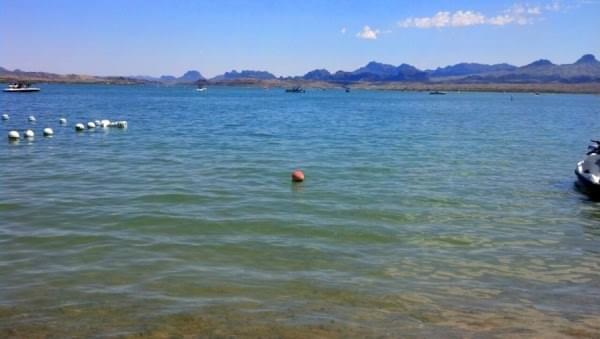 Lake Havasu 2014 by Dena Rosko Lake Havasu 2014 by Dena Rosko