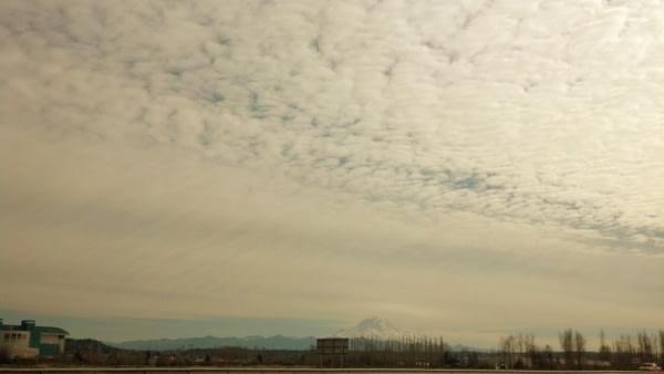 Mt. Rainier under cloud cover via Emerald Downs, Auburn, Wash. Mt. Rainier under cloud cover via Emerald Downs, Auburn, Wash.