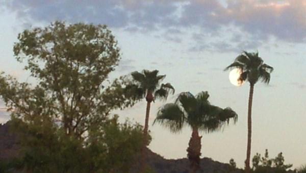 Supermoon 2014 by Dena Rosko Supermoon 2014 by Dena Rosko