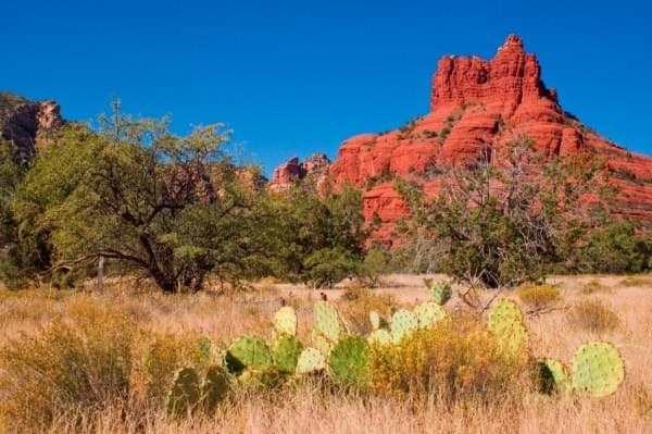 Sedona 2014 by Dena Rosko Sedona 2014 by Dena Rosko