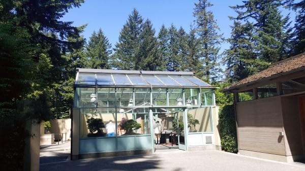 Greenhouse at Pacific Bonsai Museum, Federal Way, Wash. Greenhouse at Pacific Bonsai Museum, Federal Way, Wash.