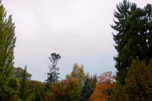 Kubota Garden, Seattle, Wash. 2015 Kubota Garden, Seattle, Wash. 2015