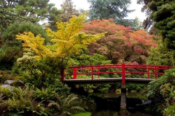 Kubota Garden, Seattle, Wash. 2015 Kubota Garden, Seattle, Wash. 2015