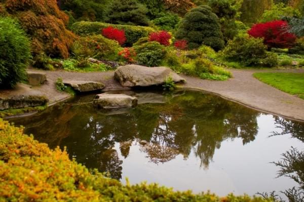 Pond at Kubota Garden, Seattle, Wash. Pond at Kubota Garden, Seattle, Wash.
