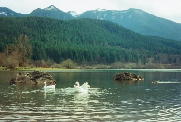 Rattlesnake Lake, North Bend, Wash. Rattlesnake Lake, North Bend, Wash.