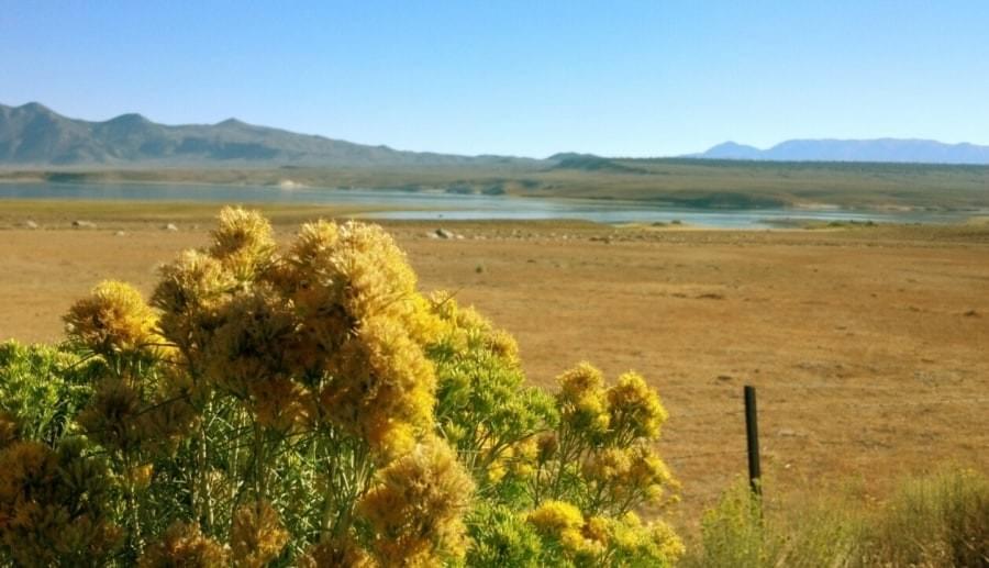 Mono Lake CA Mono Lake CA