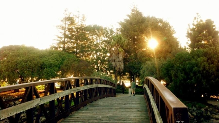 Bay Area Trail Millbrae CA 2015 Bay Area Trail Millbrae CA 2015