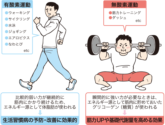 有酸素運動 無酸素運動 有酸素運動 無酸素運動