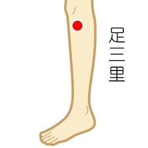 足三里 足三里