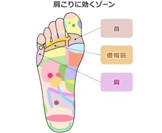 反射区 反射区