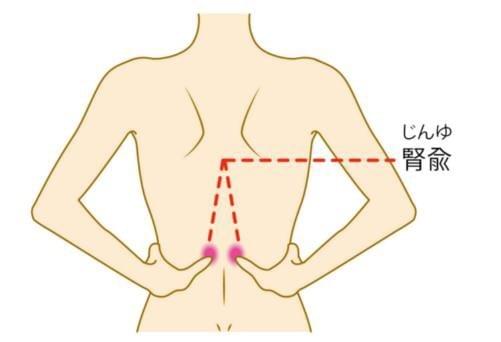 腎兪 腎兪