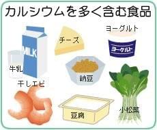 カルシウムを多く含む食品 カルシウムを多く含む食品
