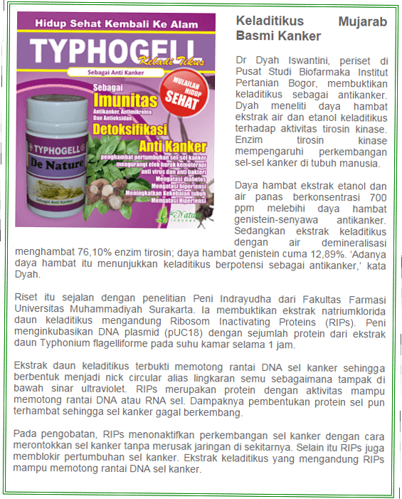OBAT KISTA OVARIUM PALING MUJARAB SEMBUH TANPA OPERASI OBAT KISTA OVARIUM PALING MUJARAB SEMBUH TANPA OPERASI
