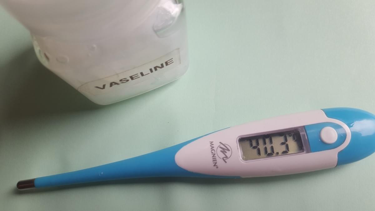 Hyperthermie lors de coup de chaleur, par Dr Fanny CHAPELIN, Vétérinaire à Domicile à Cavaillon, VETERIDOM Hyperthermie lors de coup de chaleur, par Dr Fanny CHAPELIN, Vétérinaire à Domicile à Cavaillon, VETERIDOM