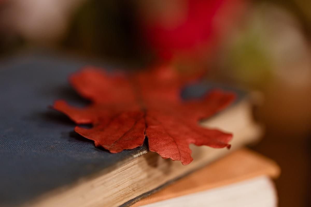 autumn leaves and vintage books autumn leaves and vintage books