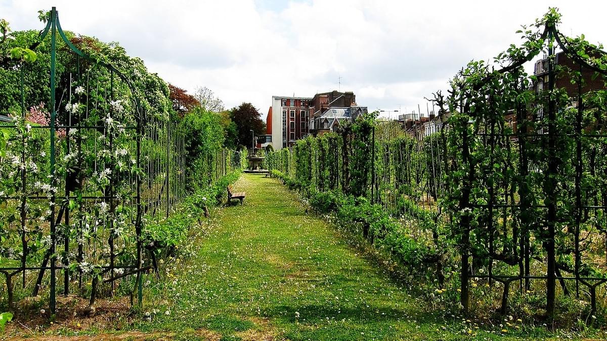 photo d'une allée et d'un banc du jardin arboriculture fruitiere lille vergers photo d'une allée et d'un banc du jardin arboriculture fruitiere lille vergers
