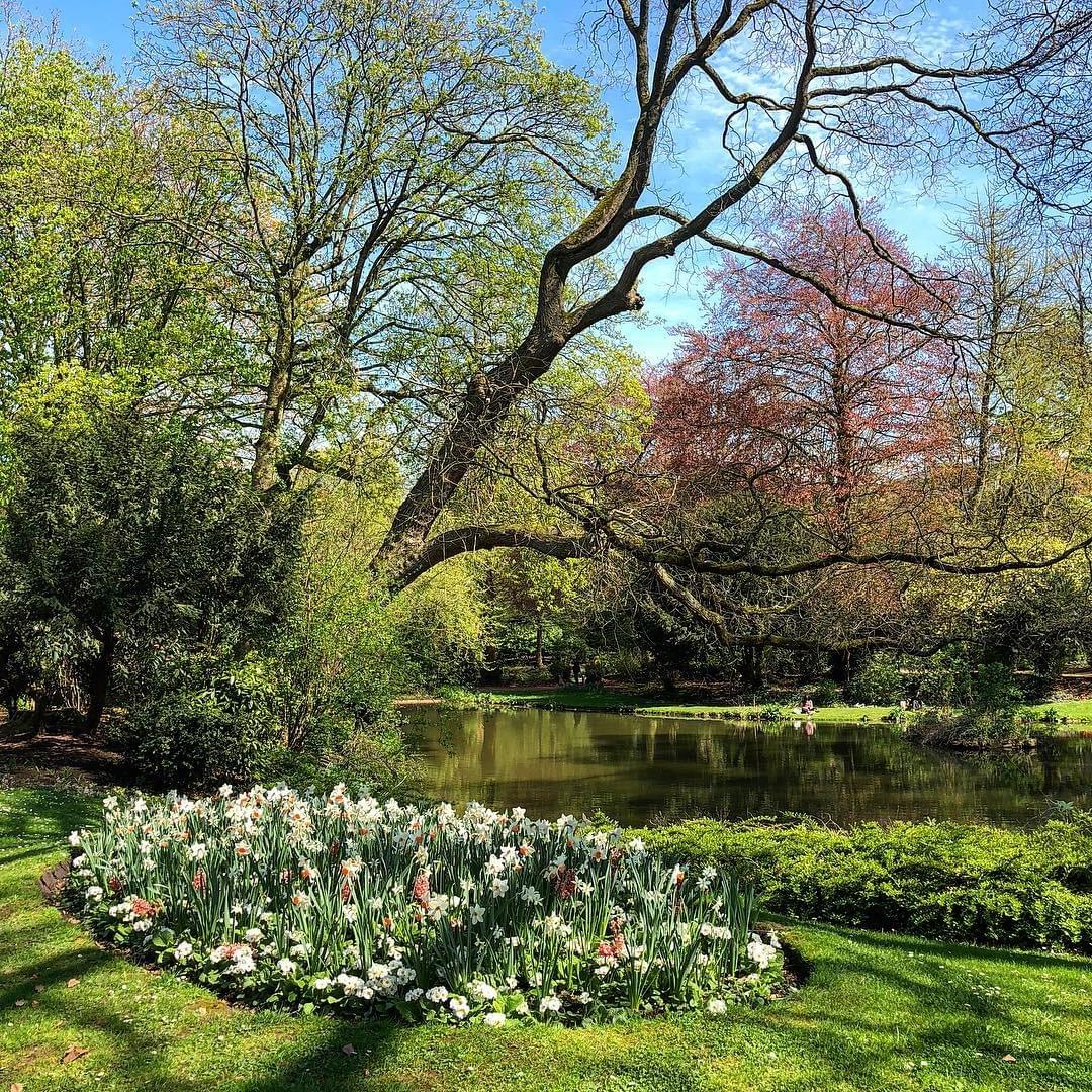 le lac en 2020 du Jardin Vauban à Lille le lac en 2020 du Jardin Vauban à Lille