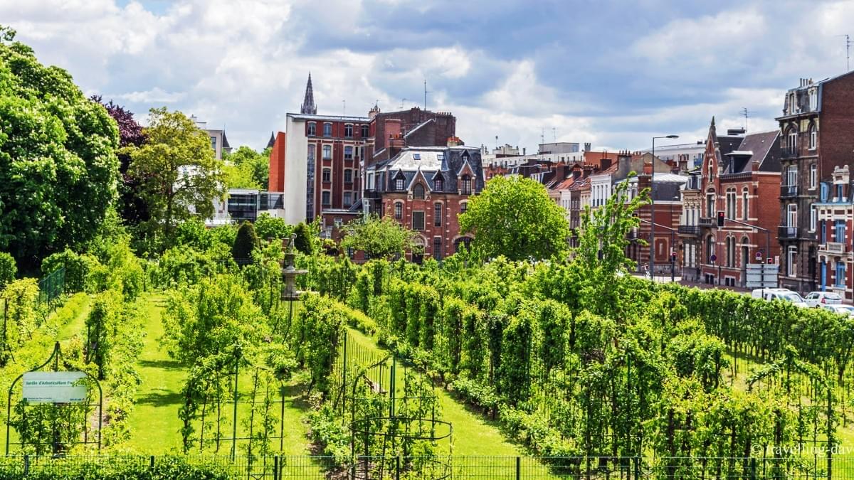 photo du jardin arboriculture fruitiere de lille vergers photo du jardin arboriculture fruitiere de lille vergers